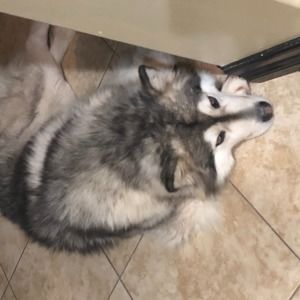 Meet your Posher, Nance